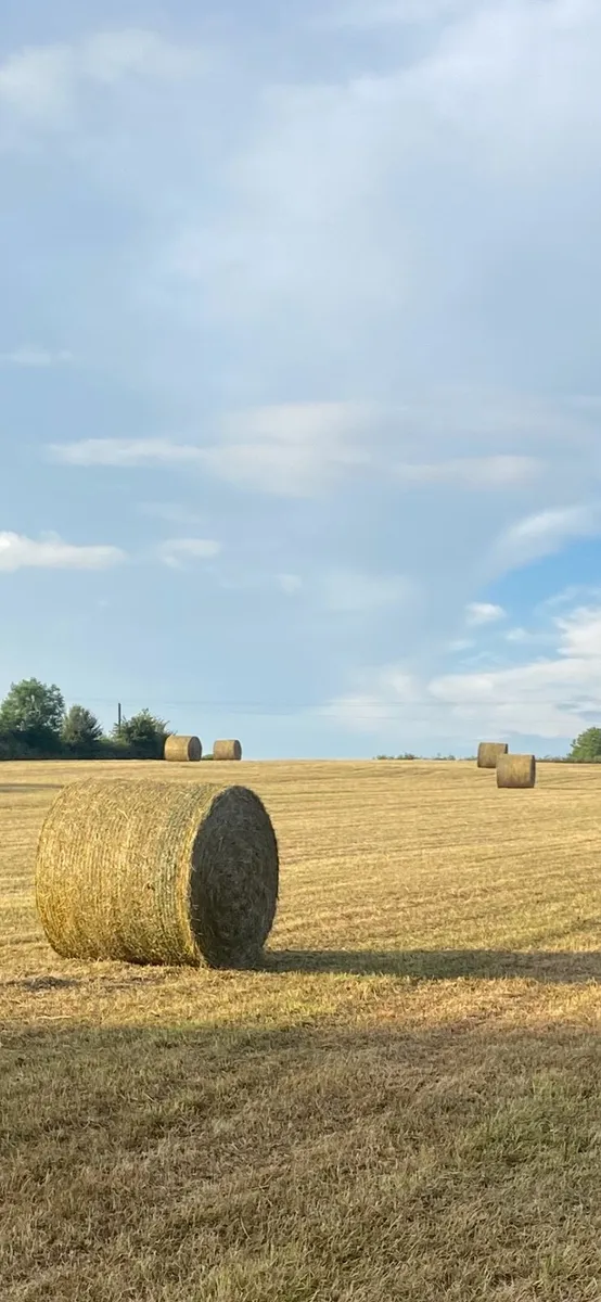 Haylage - Image 1