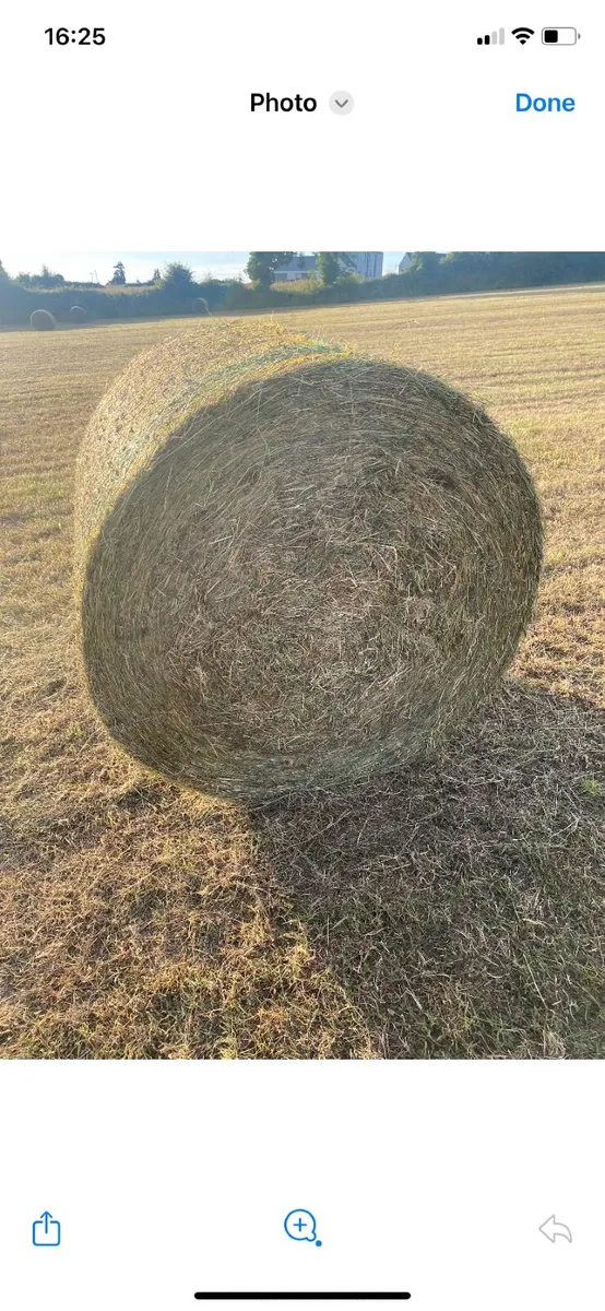 Haylage - Image 3