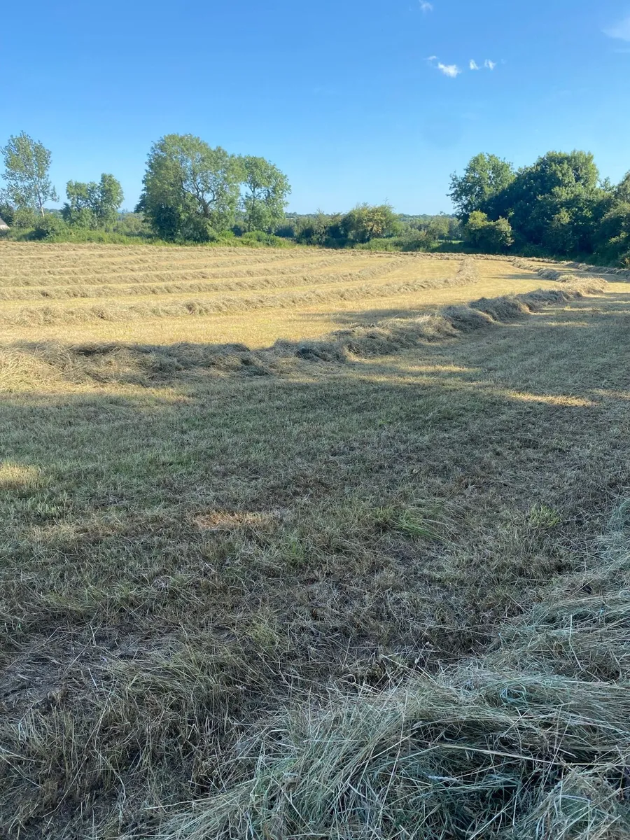 Haylage - Image 4