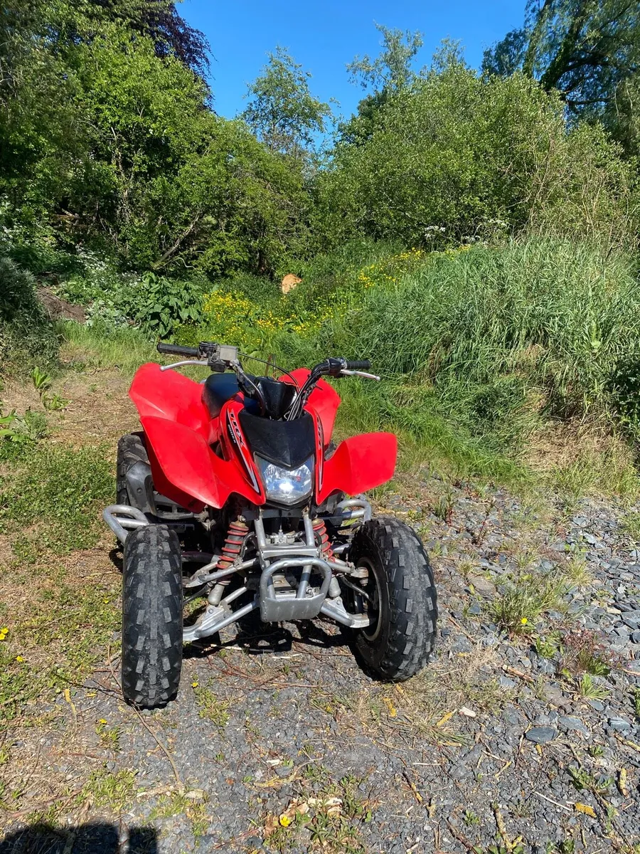 Honda trx 250ex - Image 3