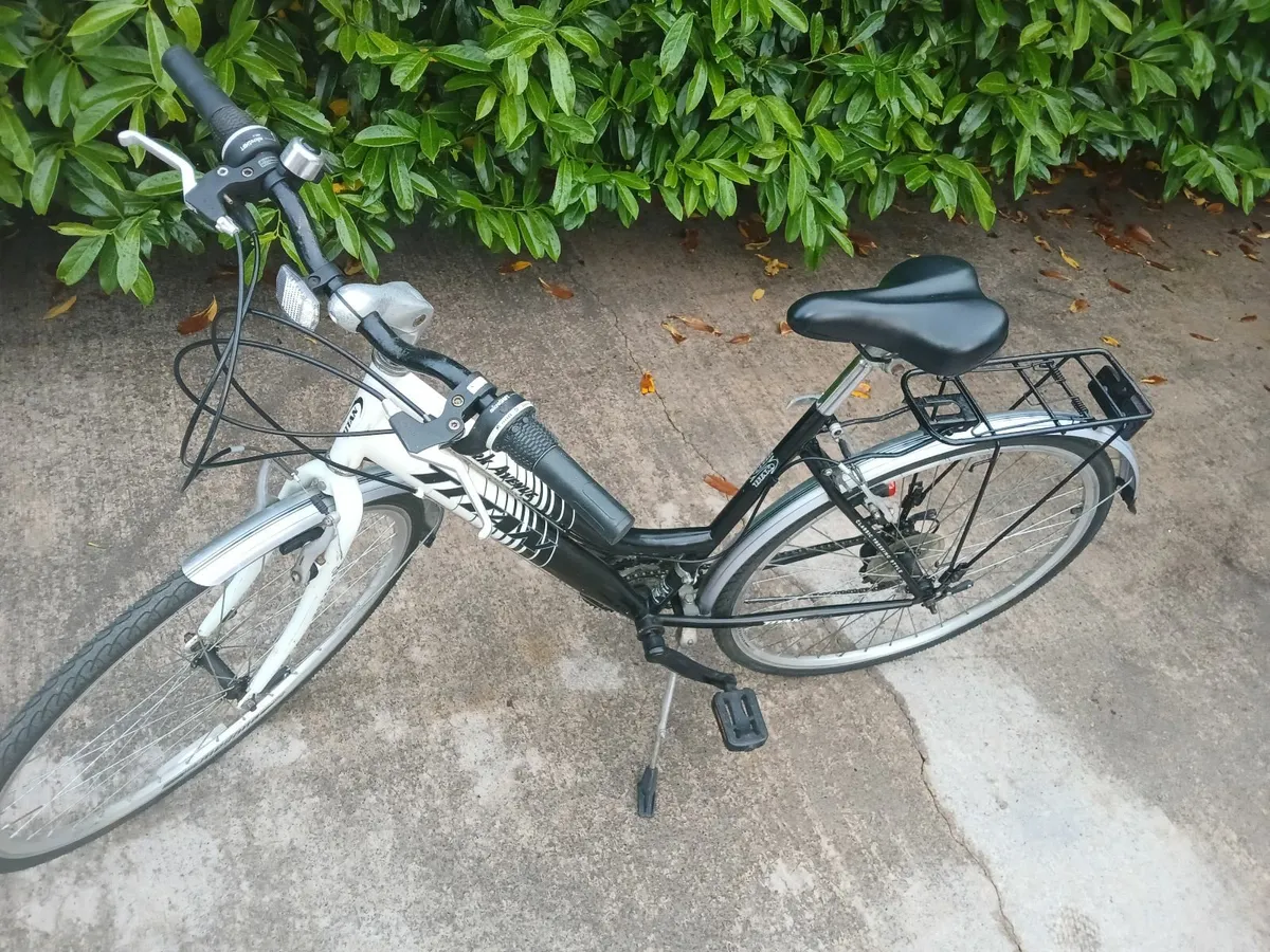 Ladues Bicycle - Image 1