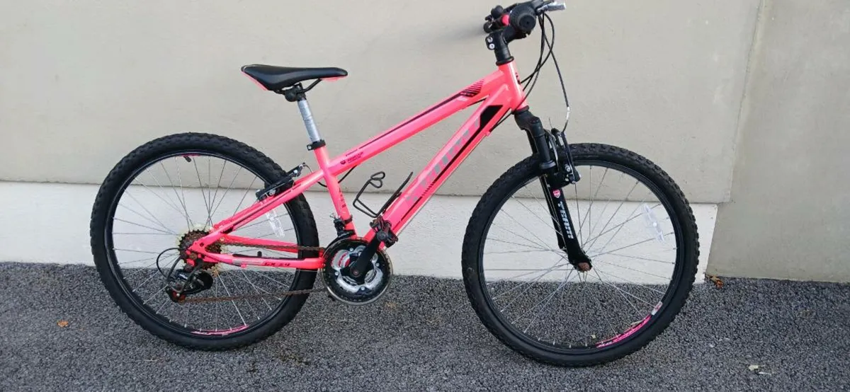 Bicycle - Image 1