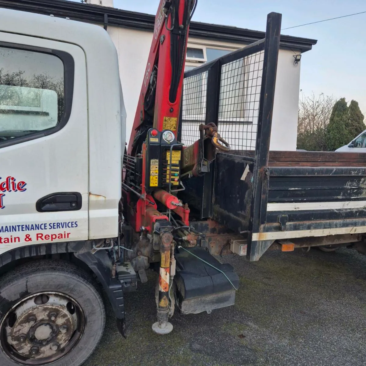 Tipper white crane - Image 4