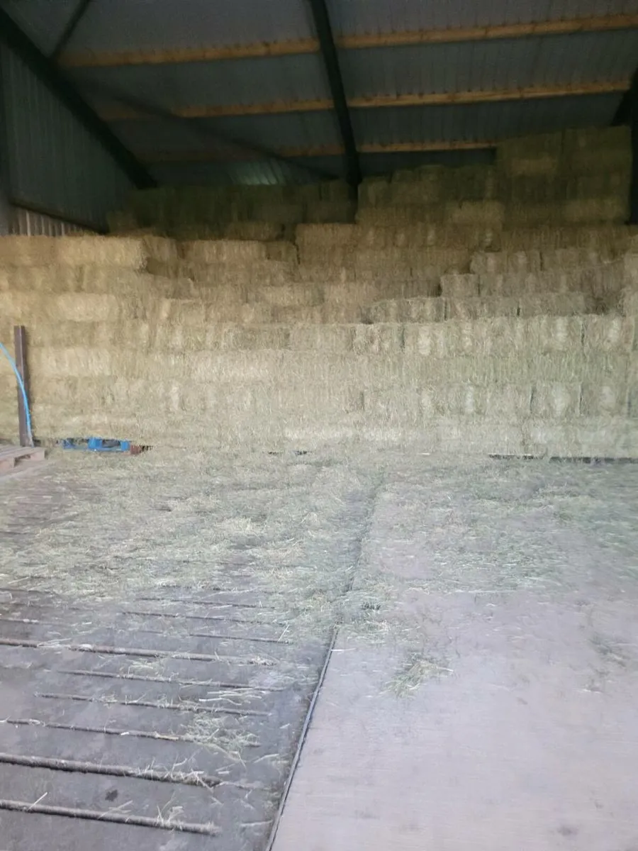 HAY  STILL AVAILABLE - Image 1