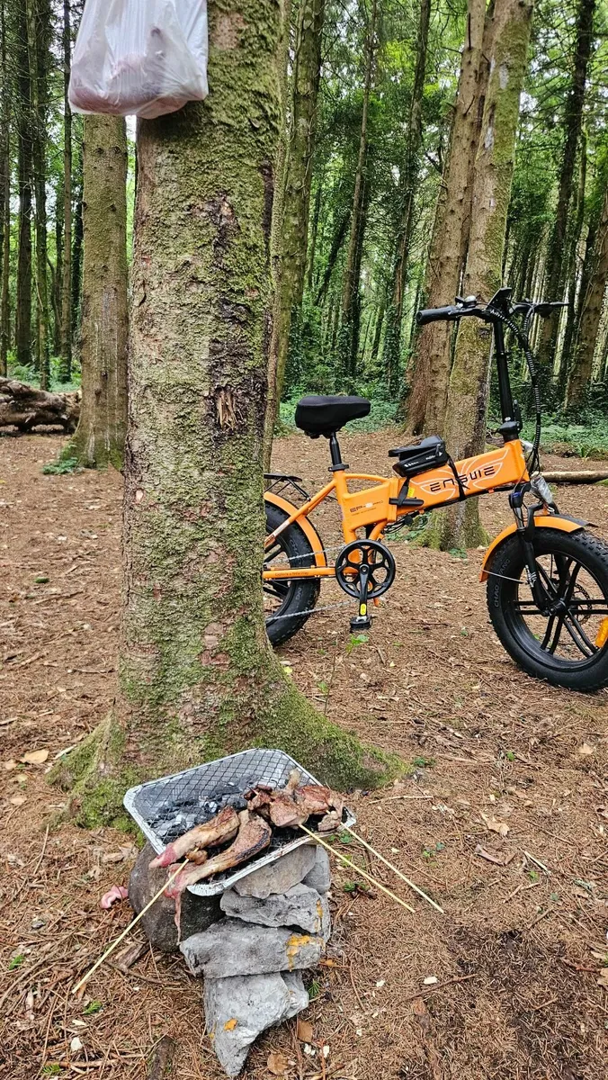 Electric bike - Image 3