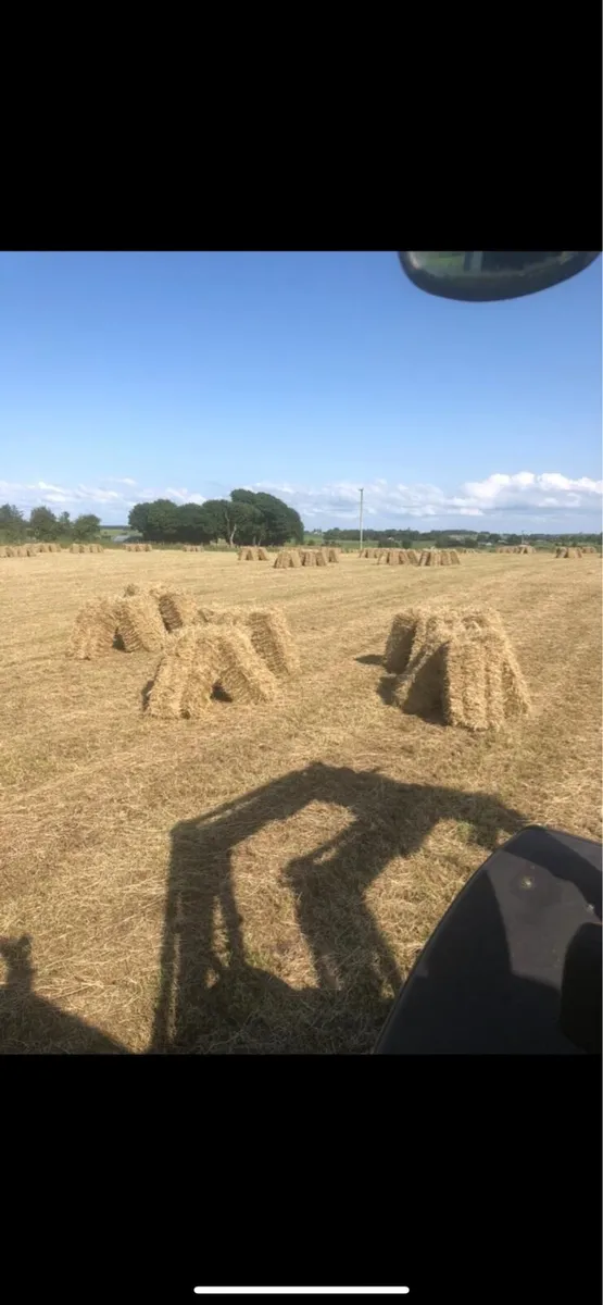 Hay - Image 1