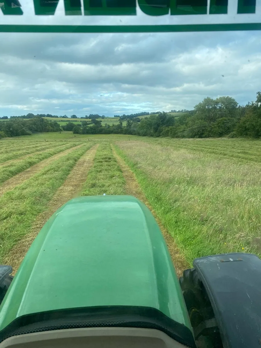 Hay - Image 3