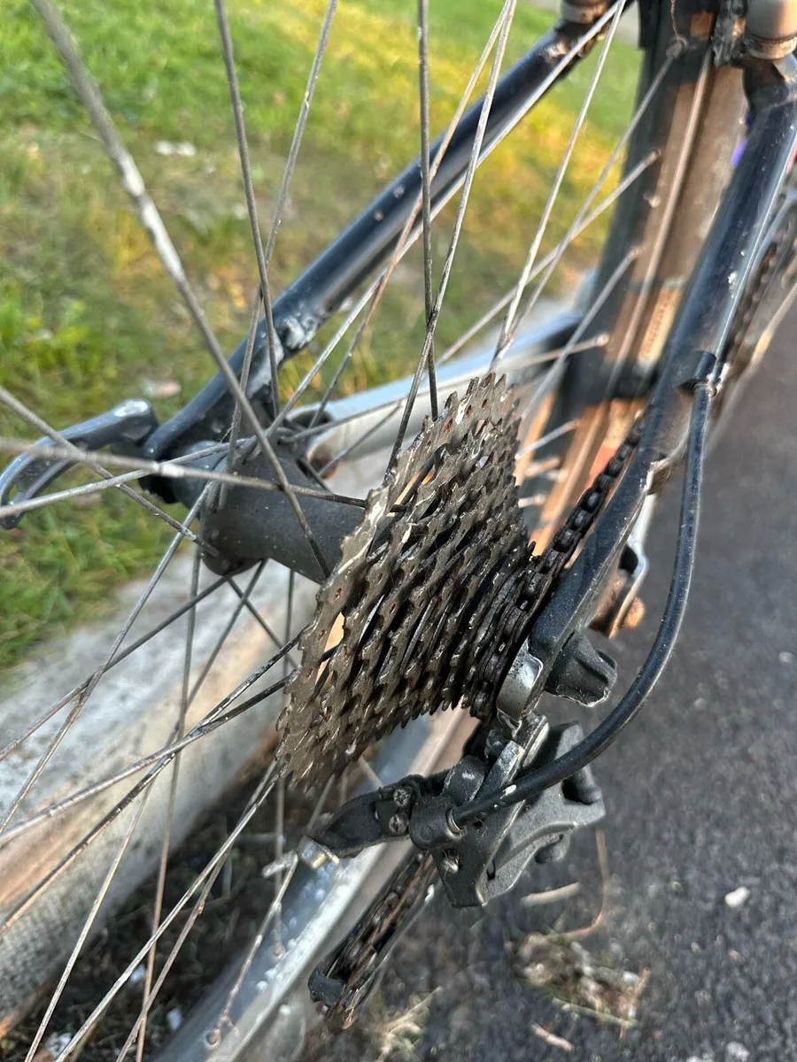 Bike - Image 2