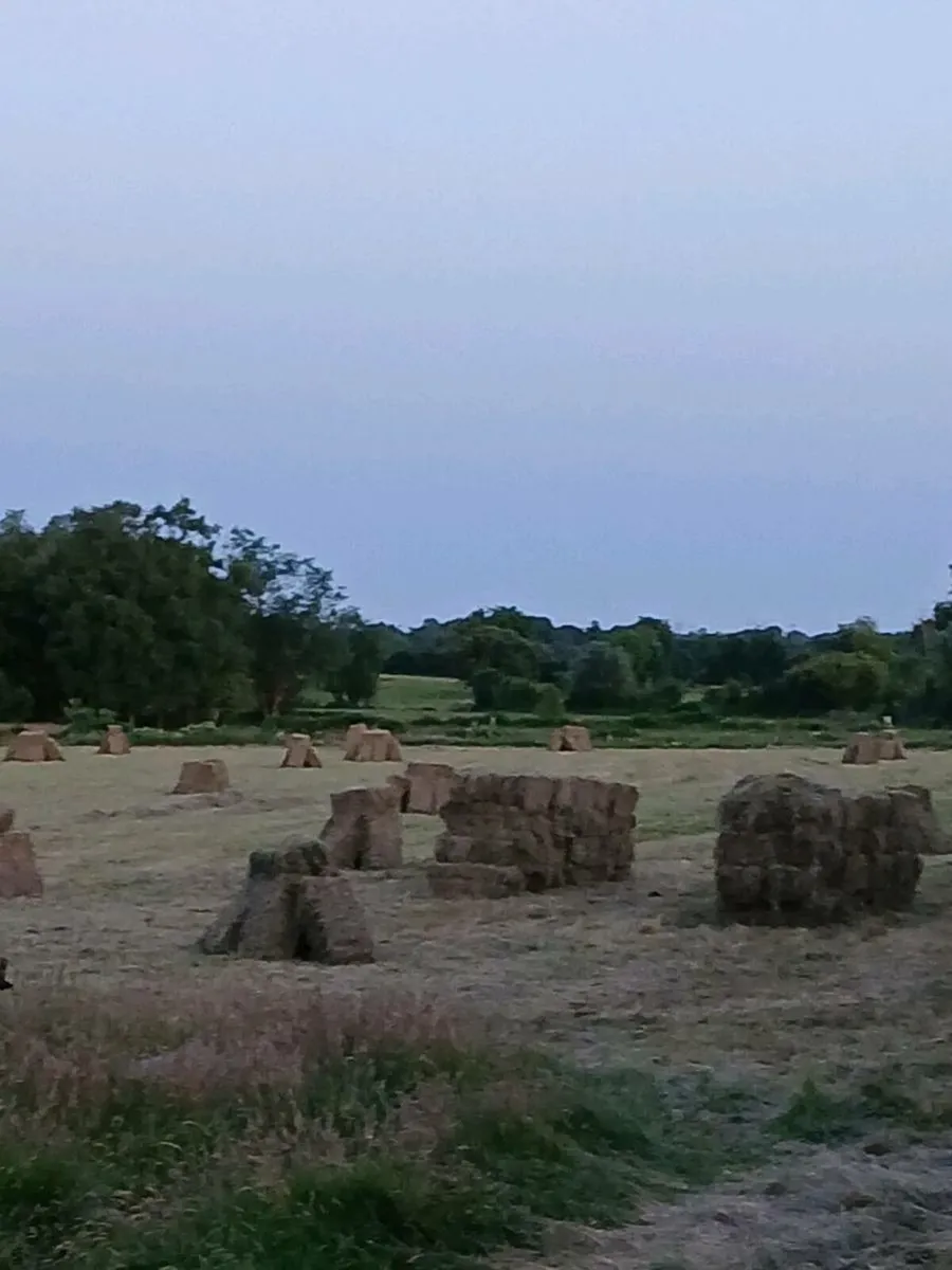 Square bales Hay - Image 2