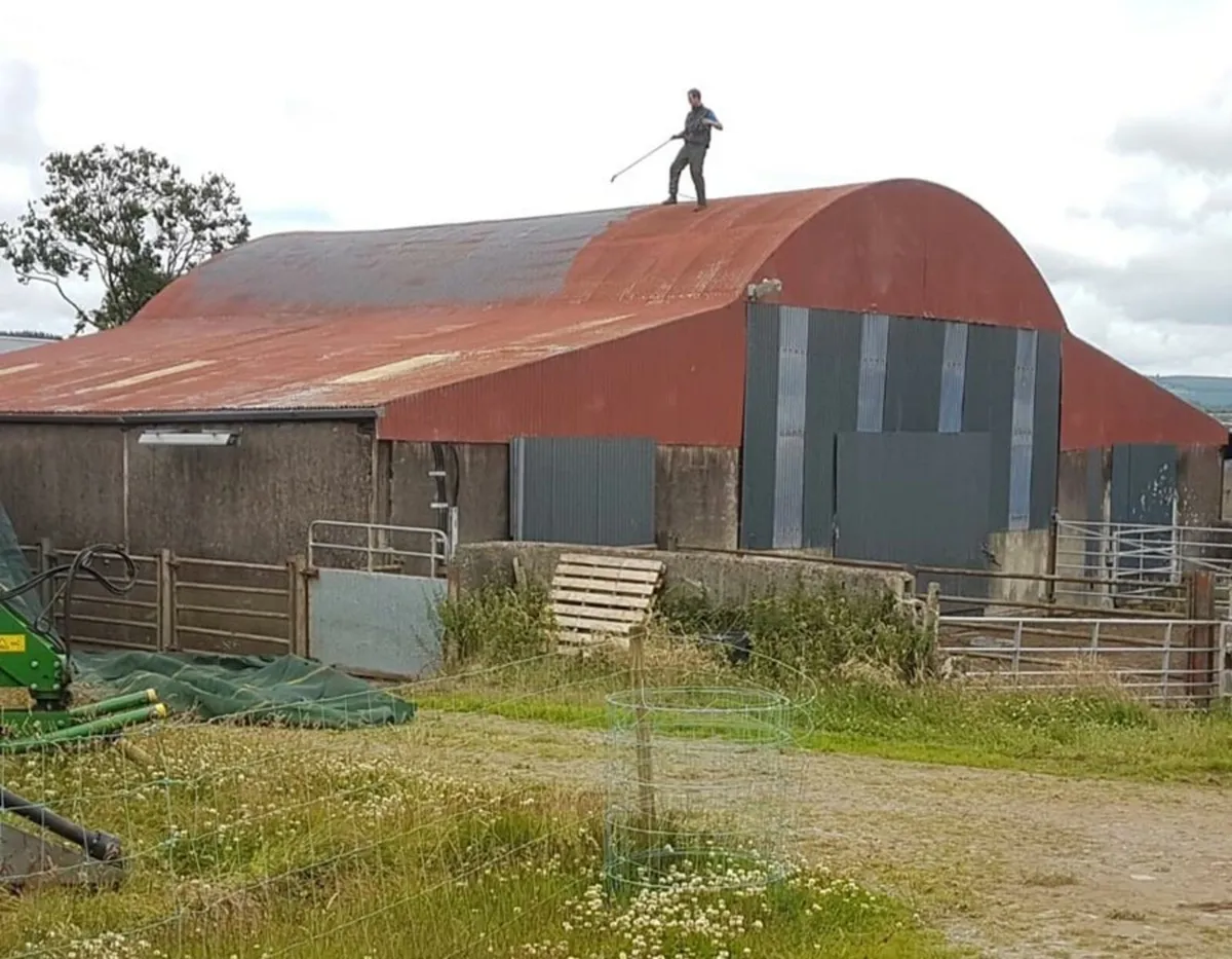 Farm service deep clean treatment painting - Image 3