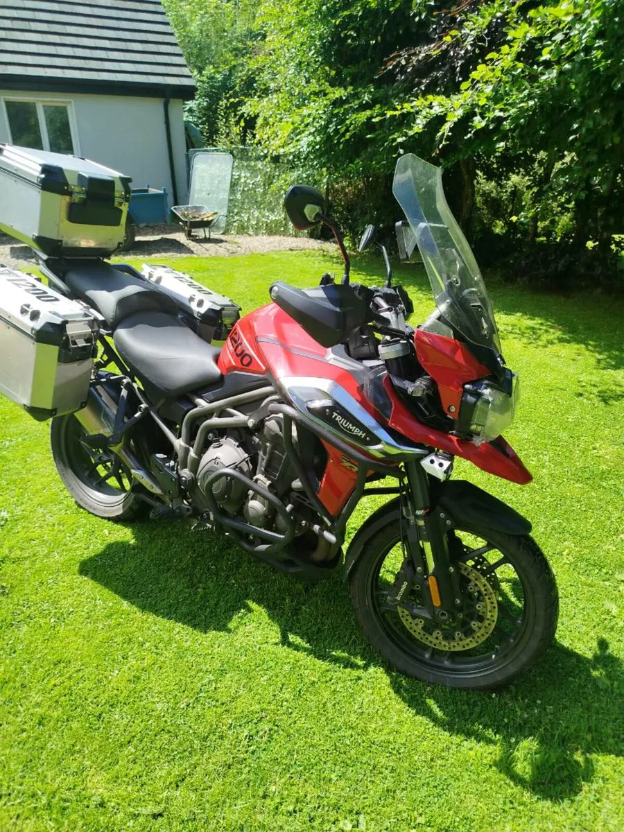 Triumph tiger - Image 1