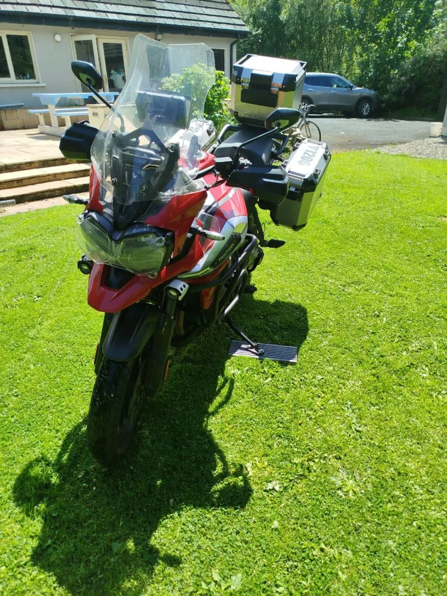Triumph tiger - Image 2