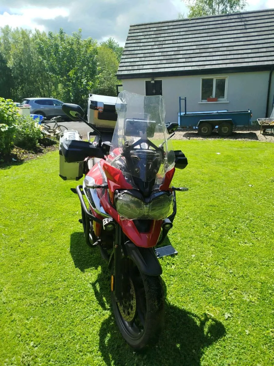 Triumph tiger - Image 3