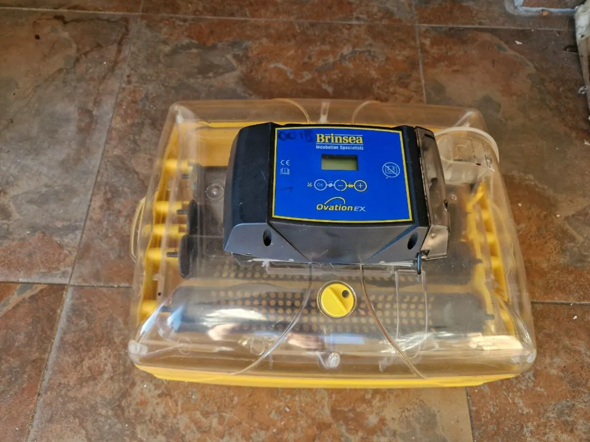 Poultry incubators and heat plates - Image 1