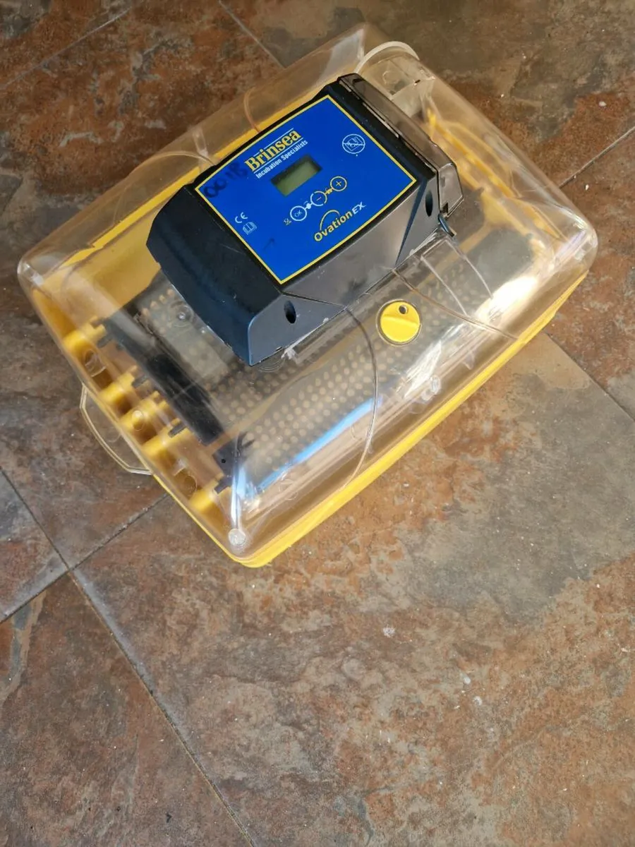 Poultry incubators and heat plates - Image 2