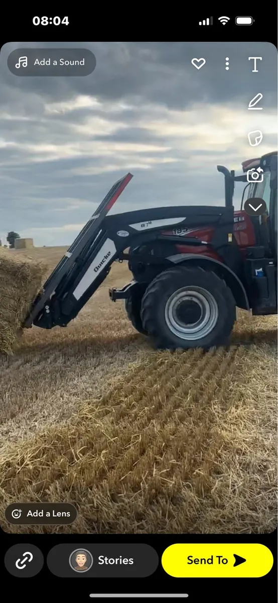 Barley straw  8x4x4 - Image 1