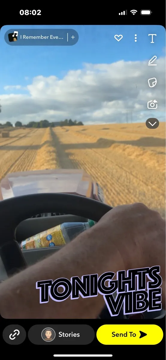 Barley straw  8x4x4 - Image 3