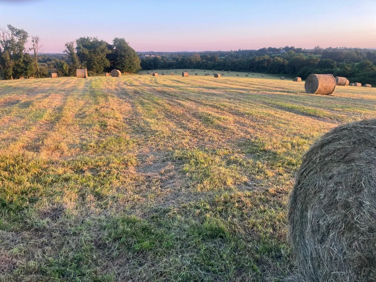 Haylage - Image 1