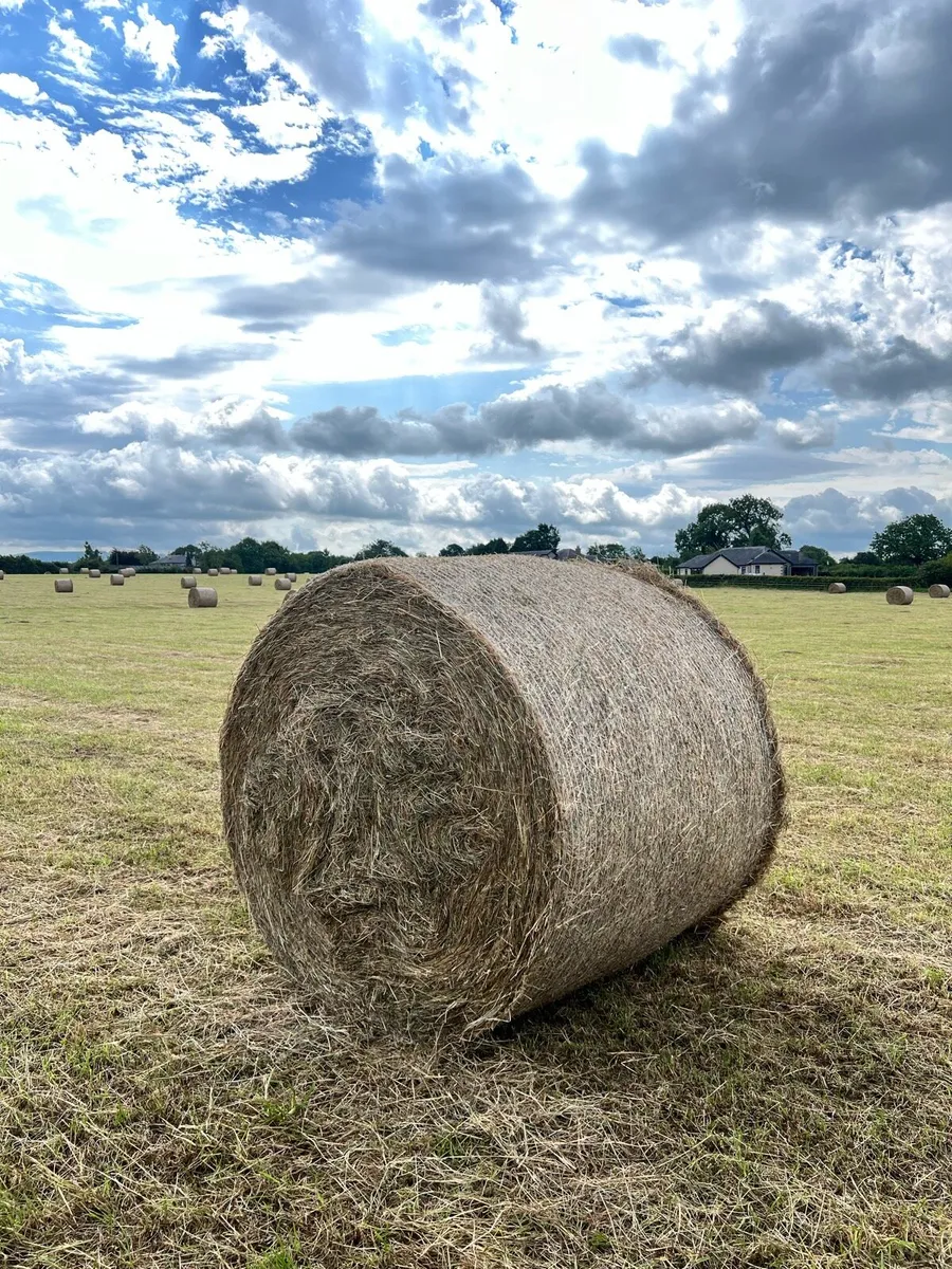 Hay 4x4 Bales - Image 1