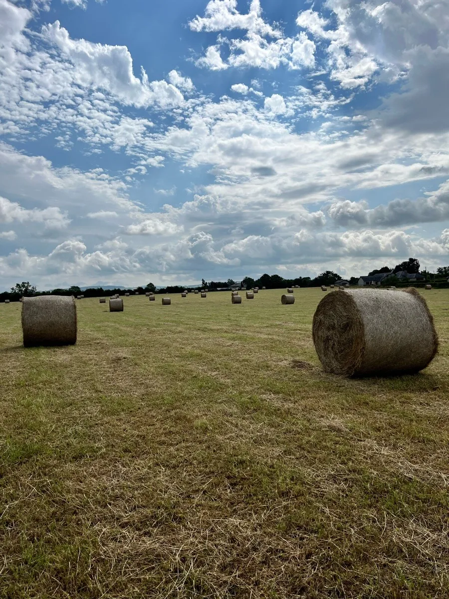 Hay 4x4 Bales - Image 3