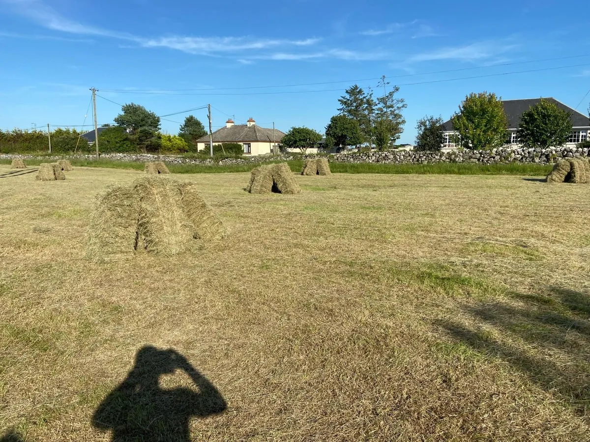 Square bales of hay - Image 2