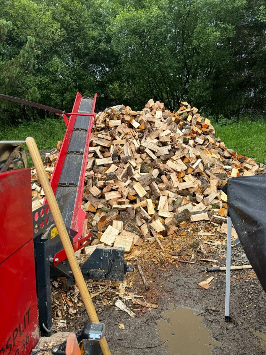 Mobile Firewood Processing - Image 2
