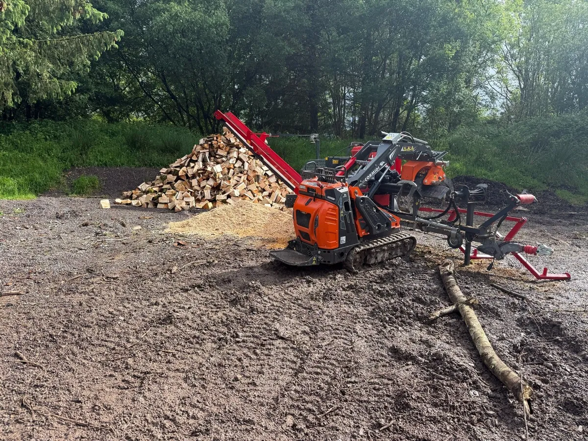 Mobile Firewood Processing - Image 3
