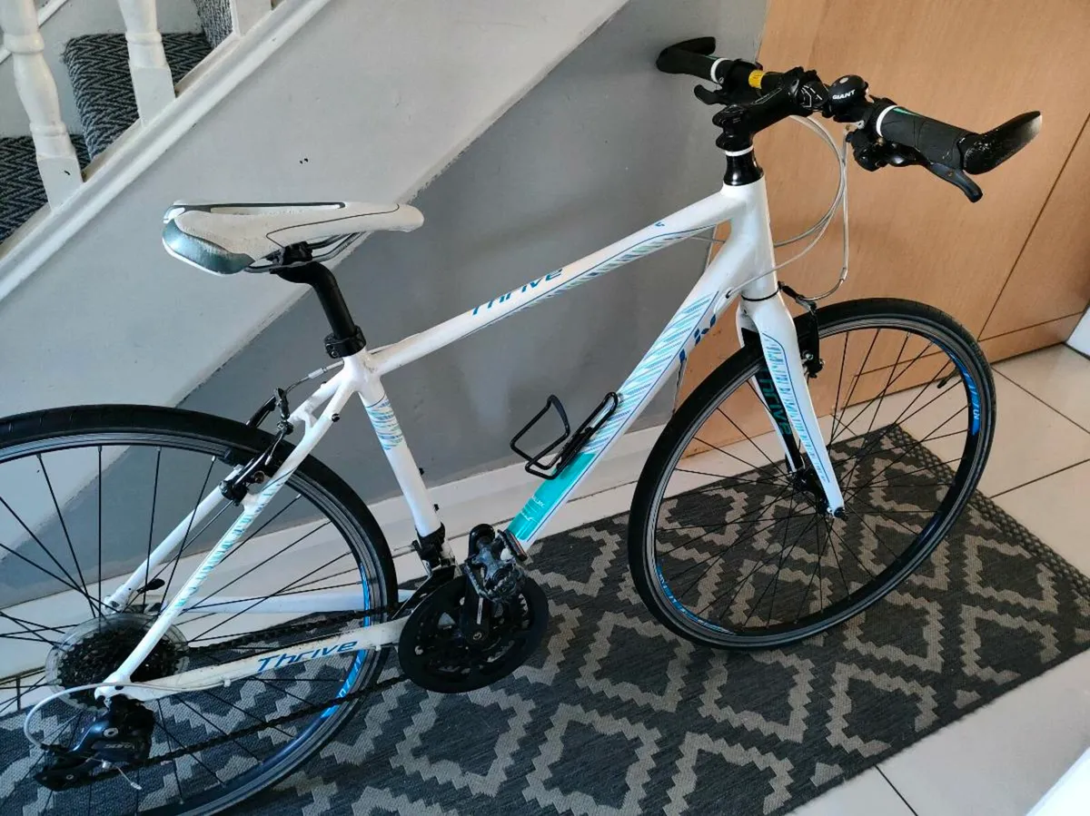 Giant road bike