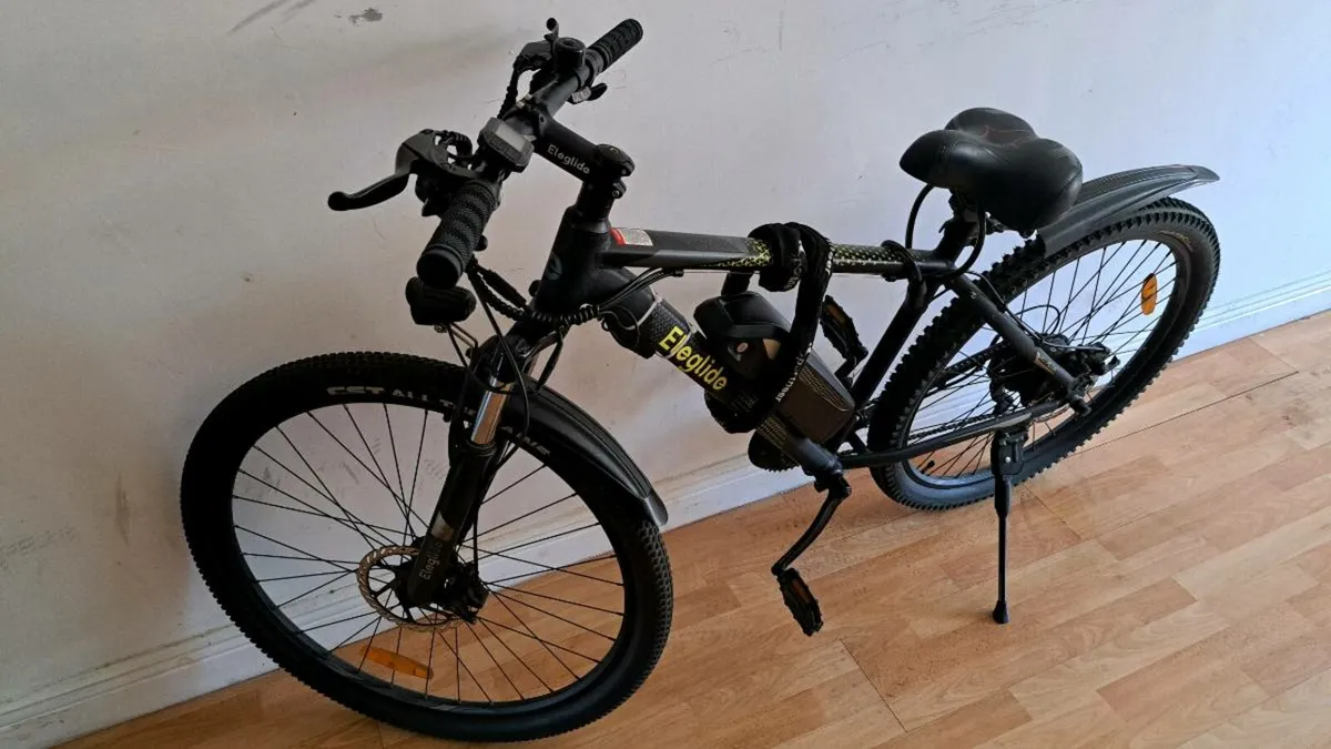 Electric cycle - Image 1