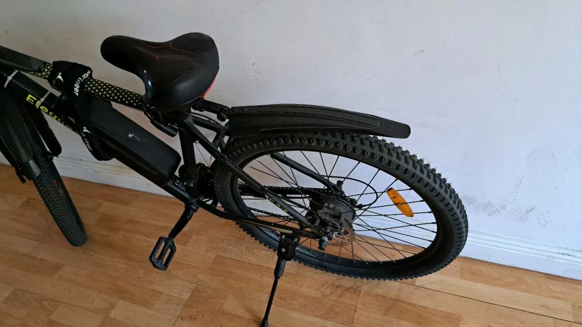 Electric cycle - Image 3