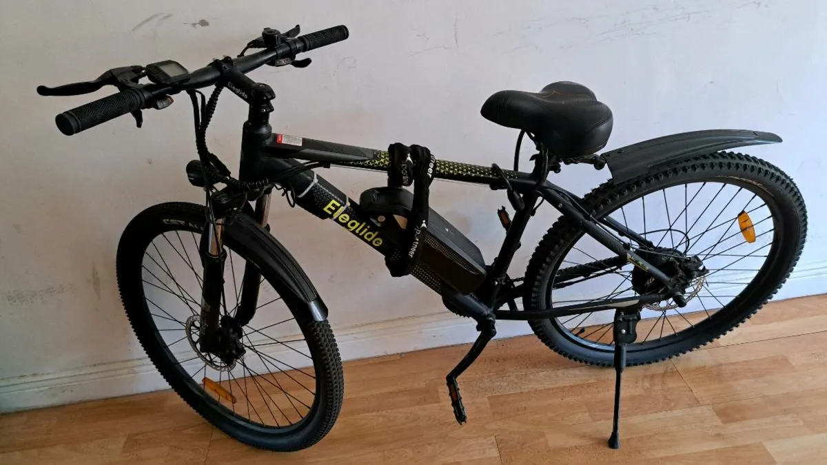 Electric cycle - Image 4