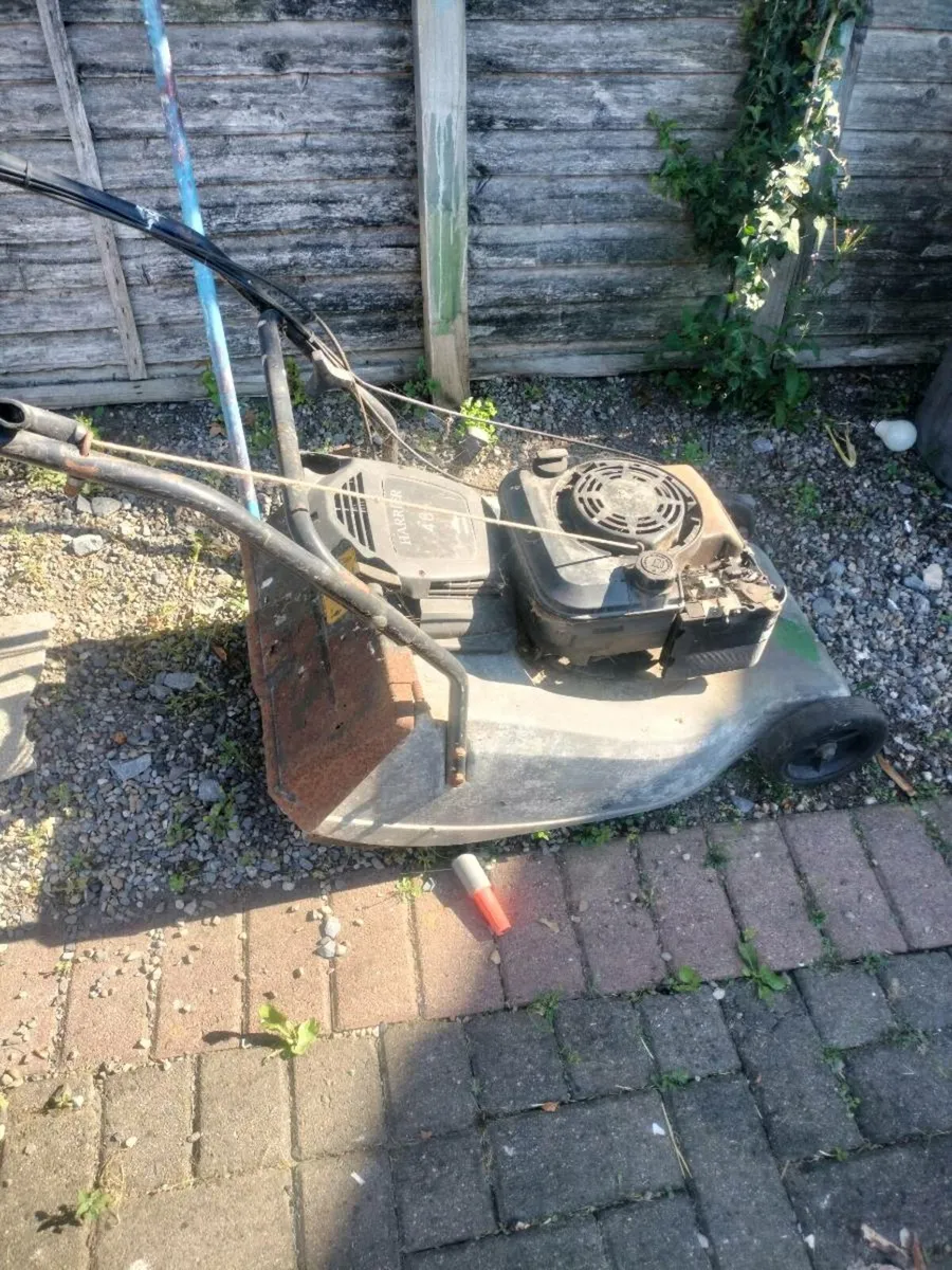Lawnmower - Image 1