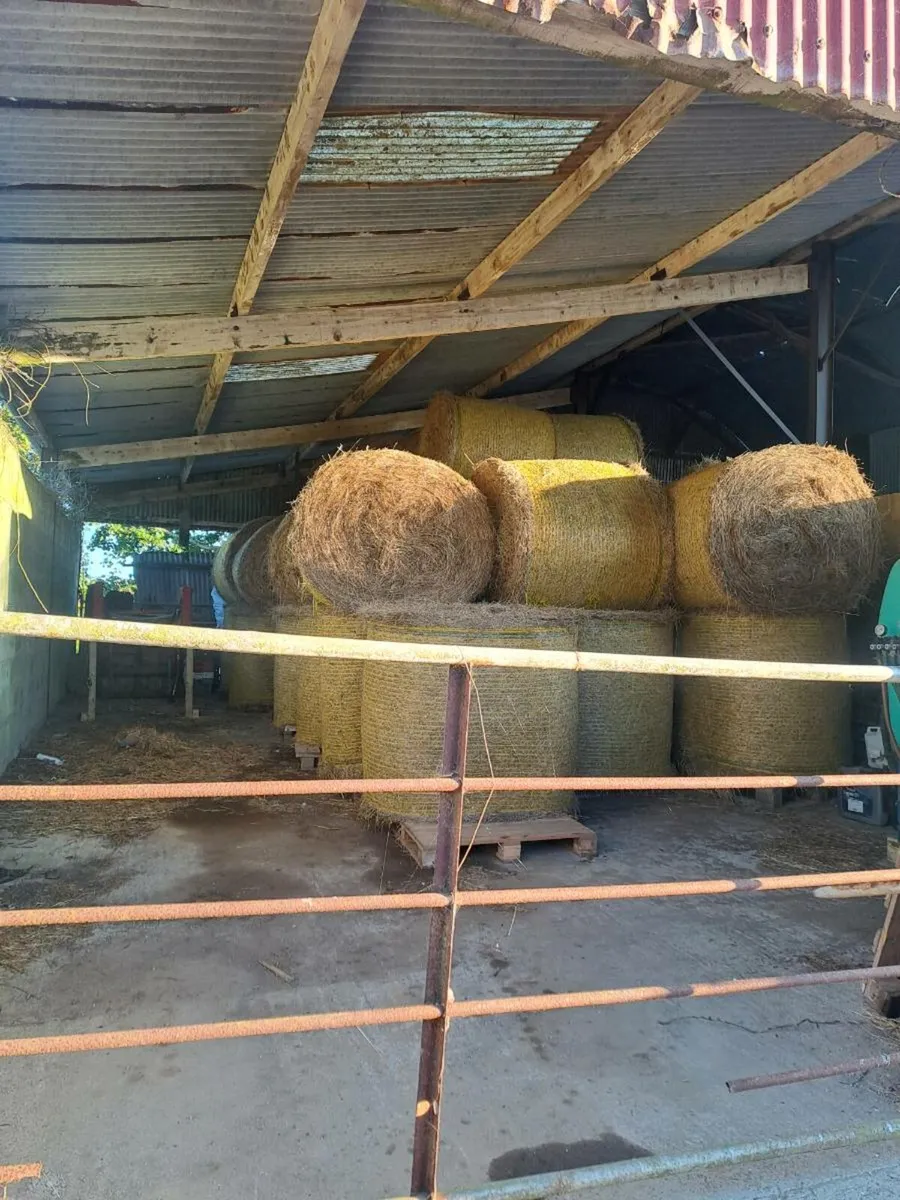 Hay for sale - Image 1