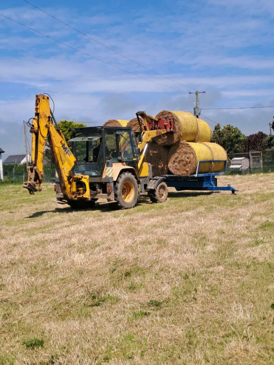 Hay for sale - Image 2