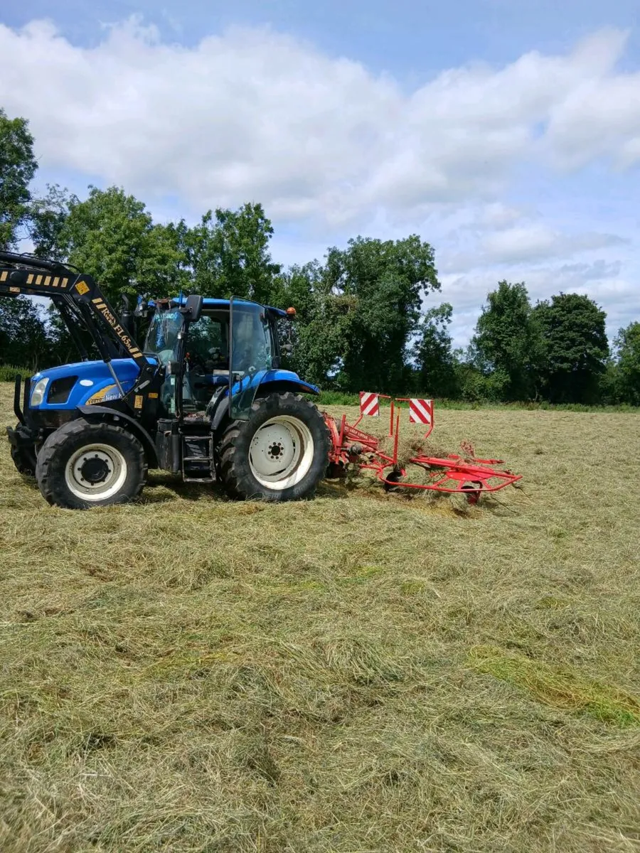 Hay for sale - Image 2