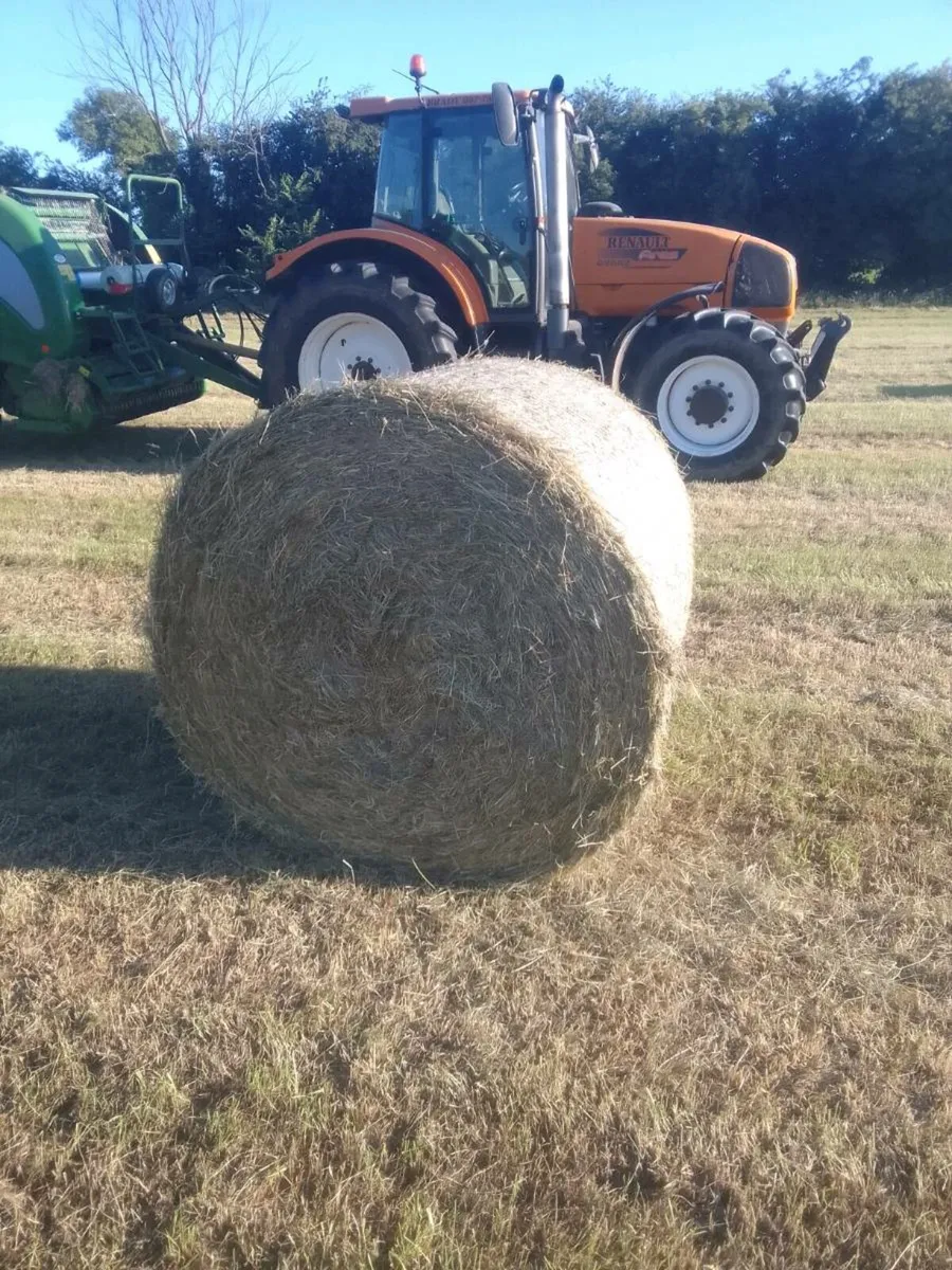 Hay - Image 1