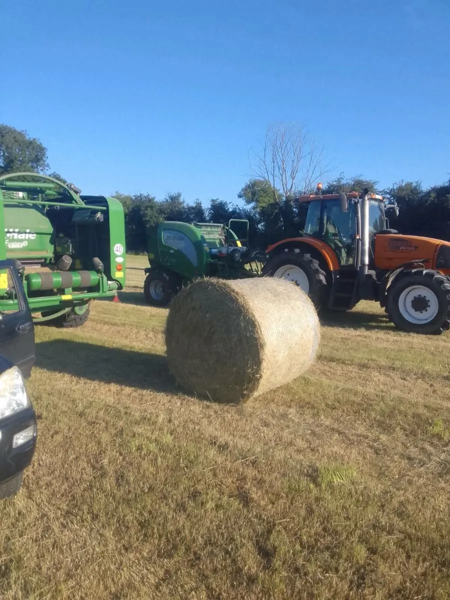Hay - Image 3