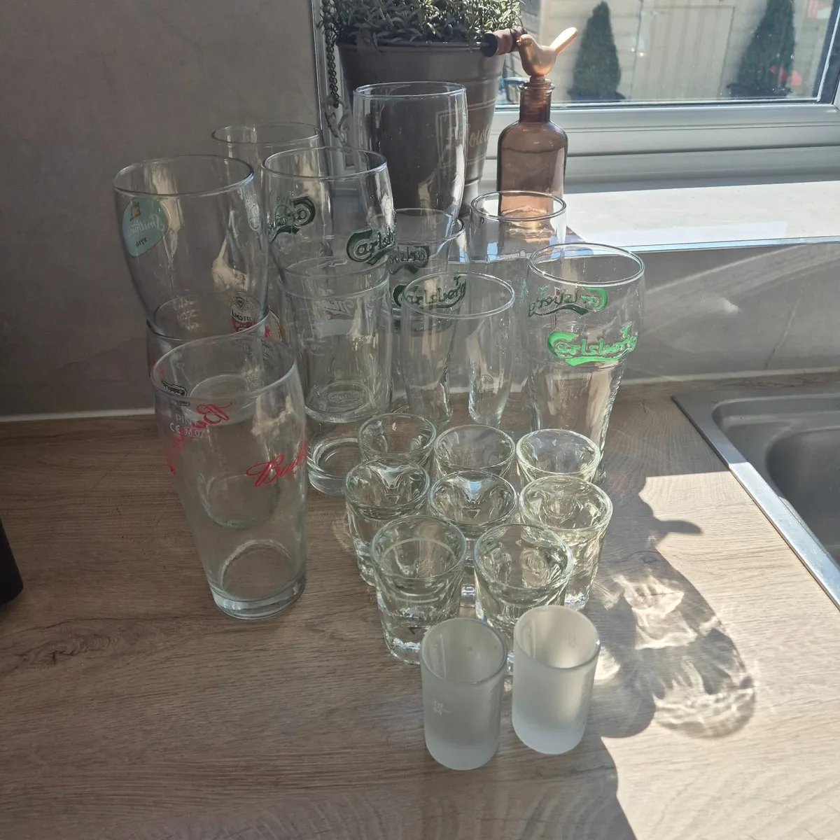 Glasses