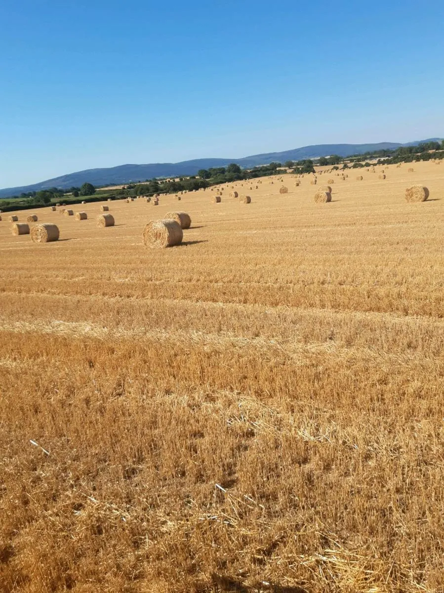 Straw