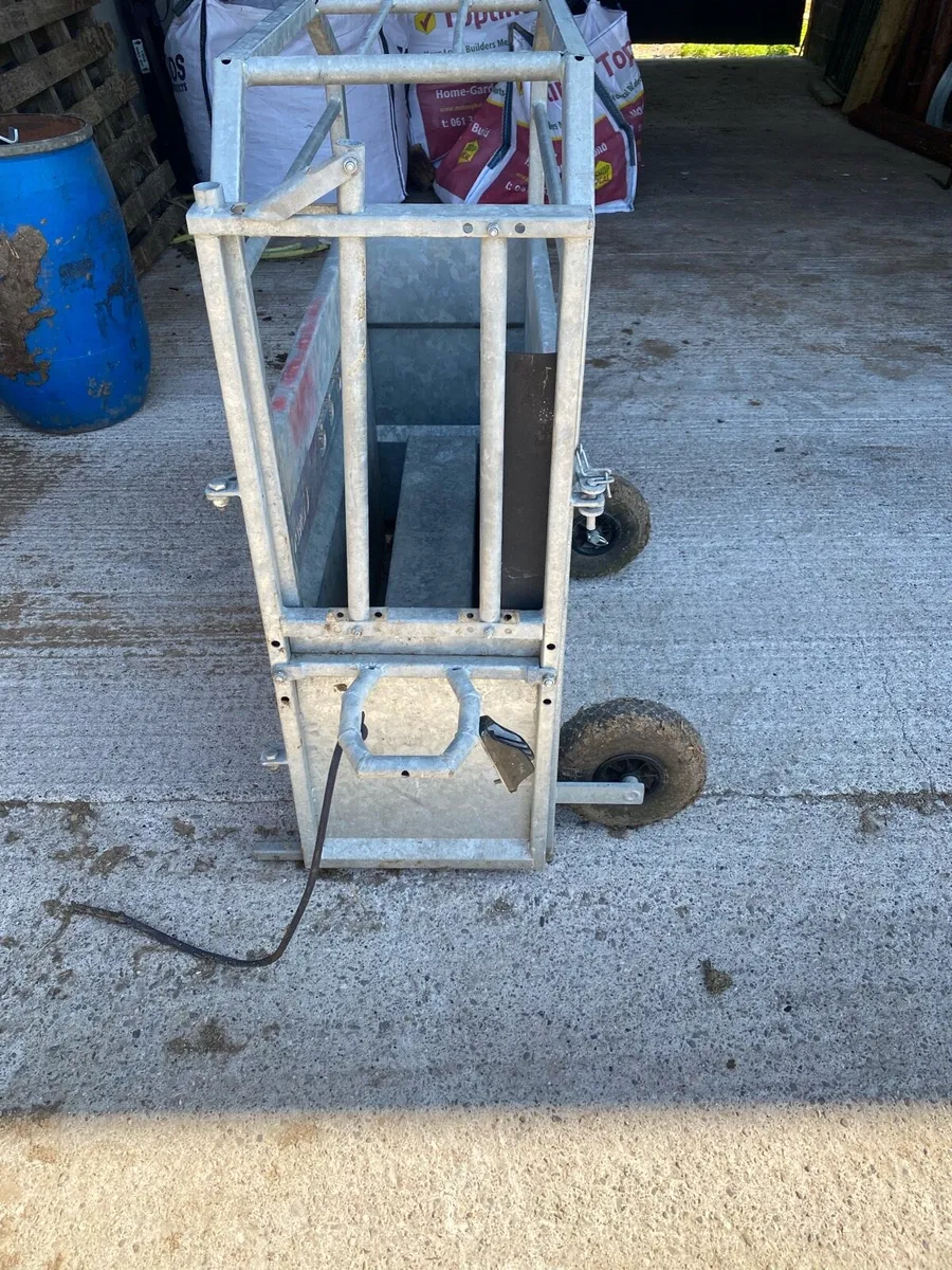 Calf dehorning crate - Image 1