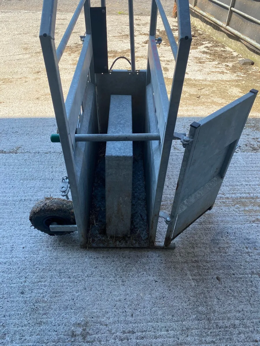 Calf dehorning crate - Image 3