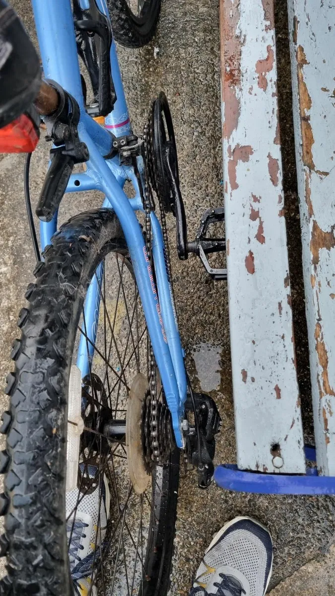 Bicycle - Image 2