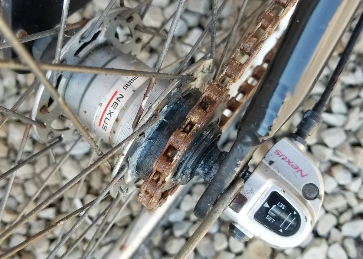 Women's Cruiser - Image 3