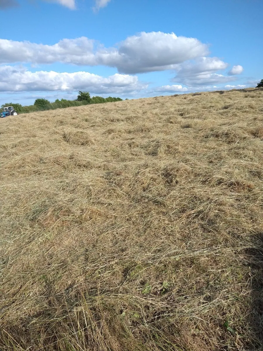 Hay Large Round Bales €40 - Image 2