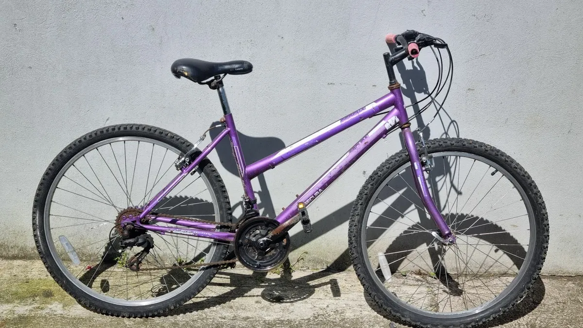 Bicycle - Image 1