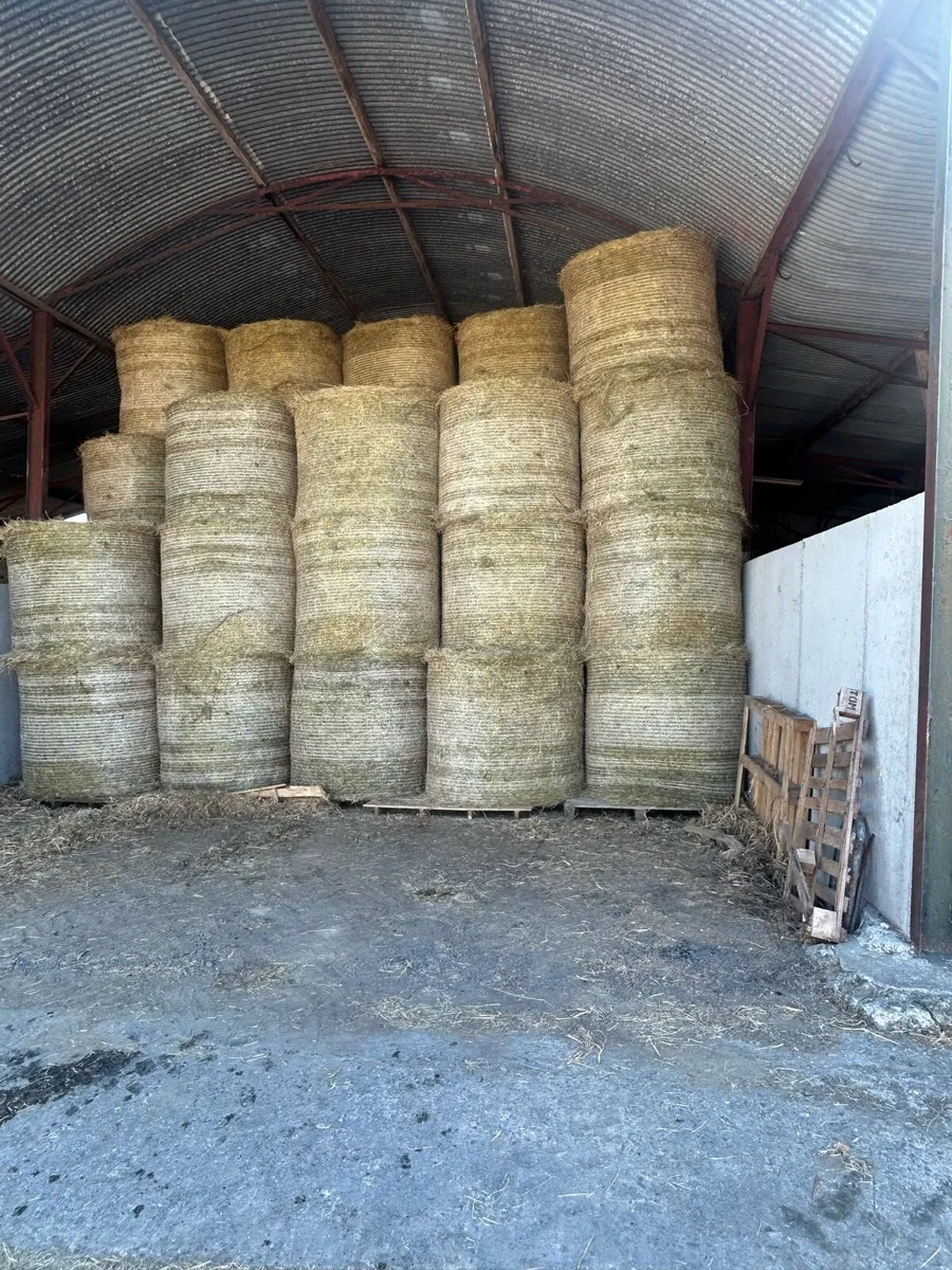 Hay
