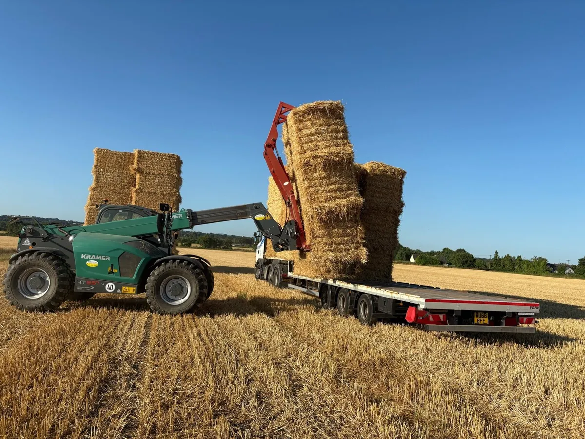Top Quality 2025 Barley Straw Delivered - Image 1