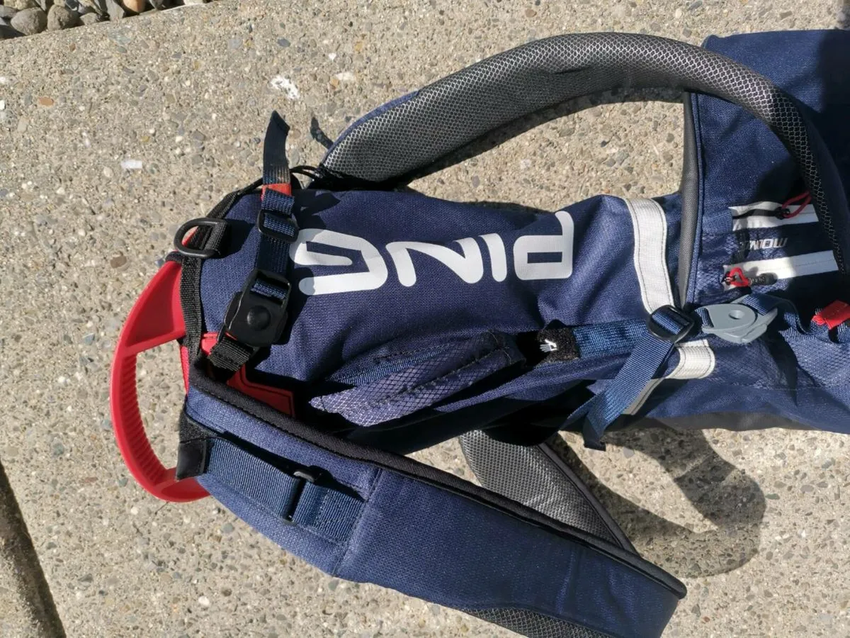 Ping Moonlight Bag - Image 4