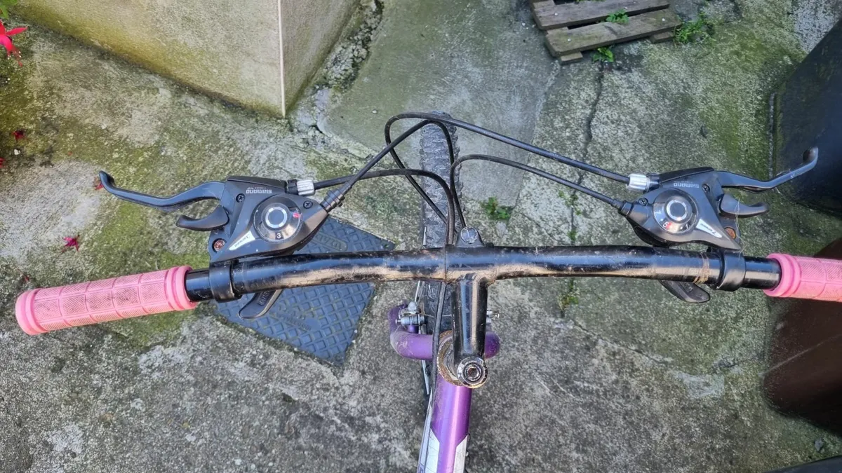Bicycle - Image 3