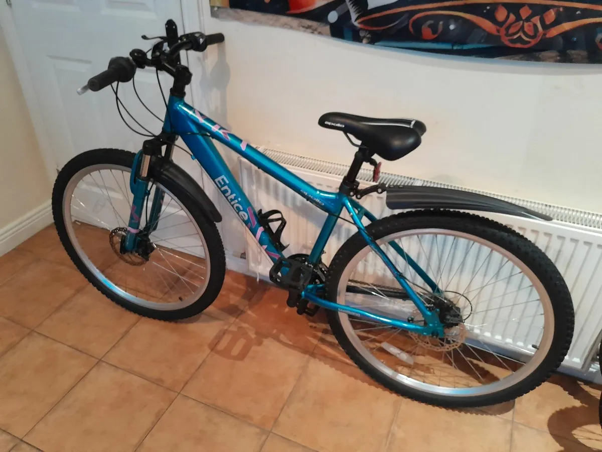 Bicycle - Image 1